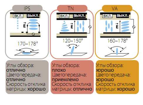 harakteristika-tipov-matric.jpg